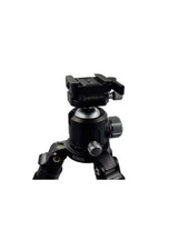 Arca Swiss zu Arca Swiss Adapter 
